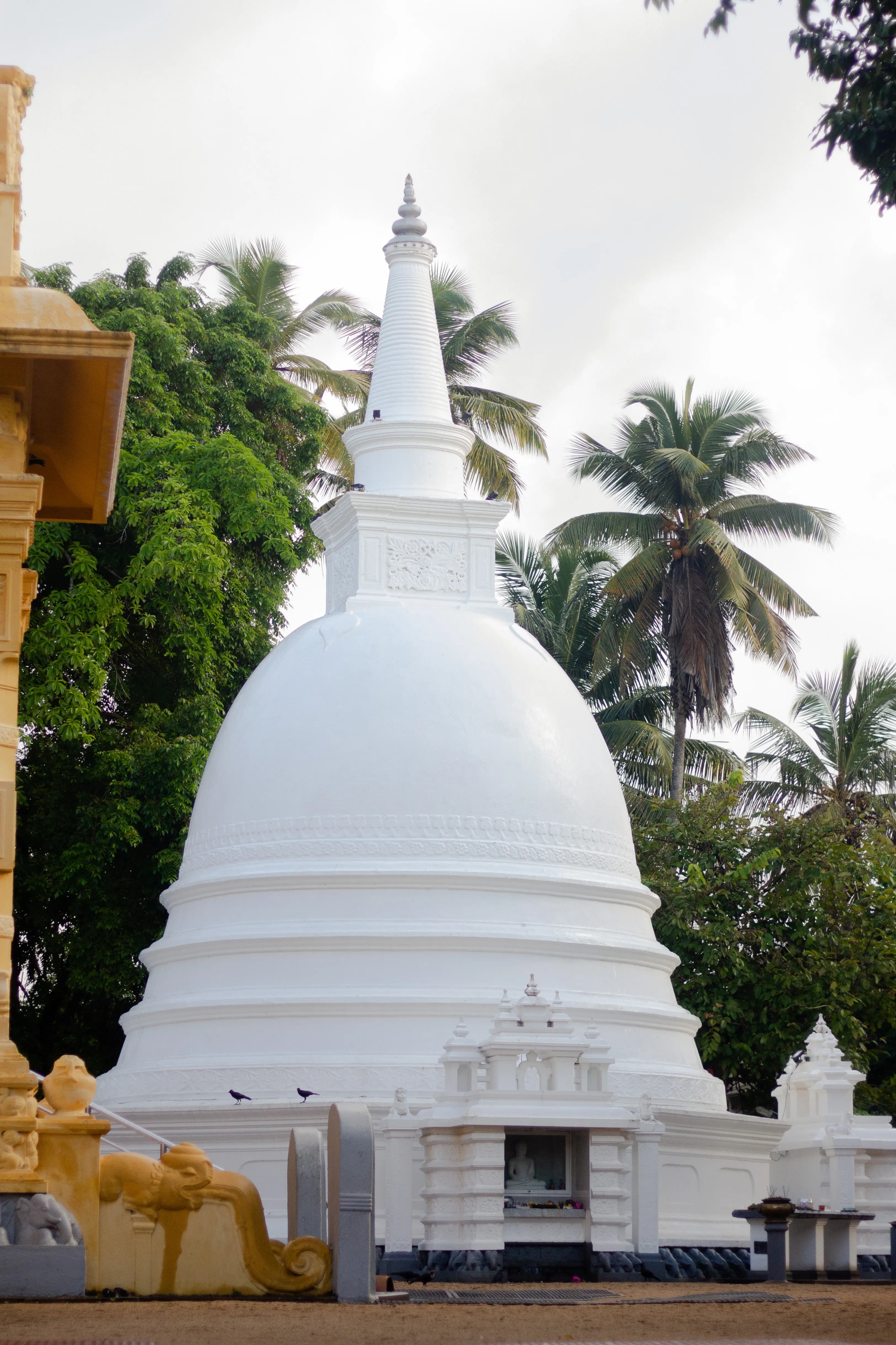 Background image 3